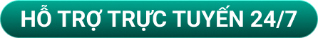 Hỗ trợ trực tuyến